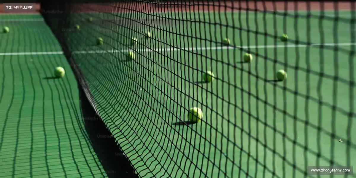 行业领先的理由